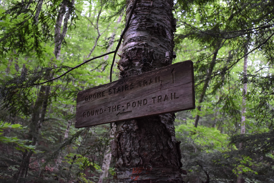 Northeast Kingdom Vermont Sutton VT Century 21 Farm & Forest